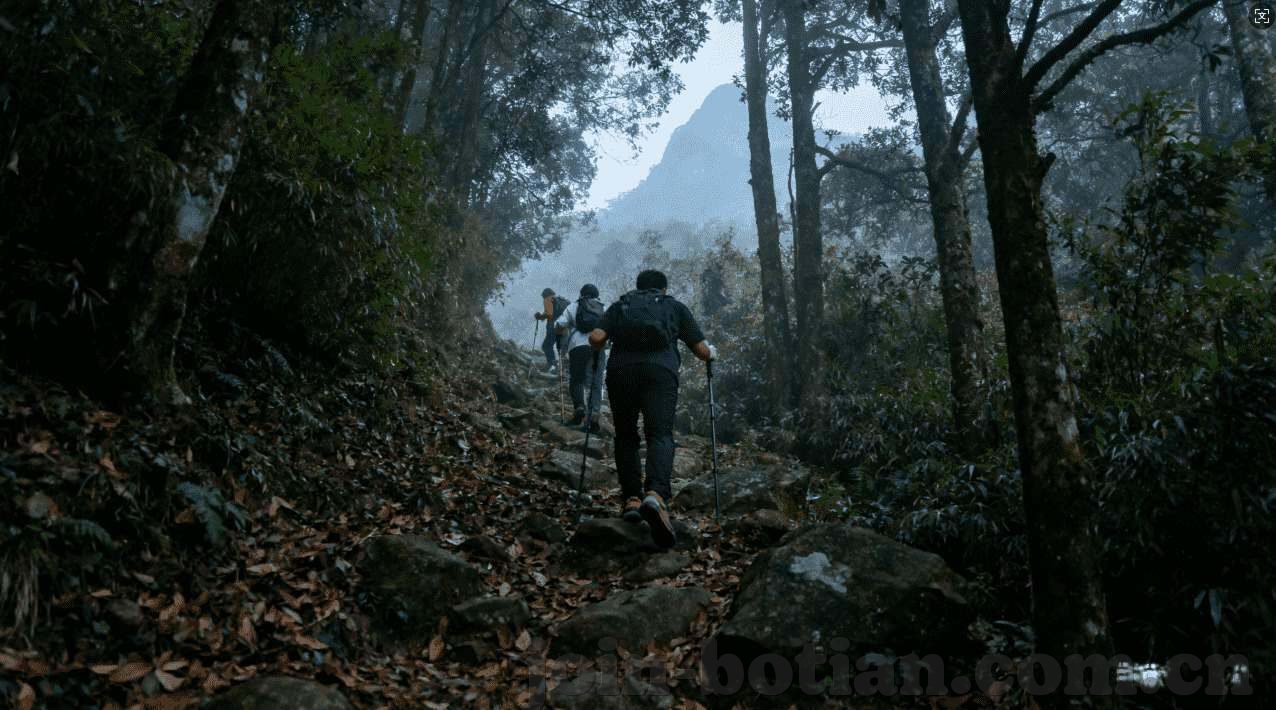 世界杯投注竞猜软件-世界杯投注竞猜软件，娱乐与风险并存